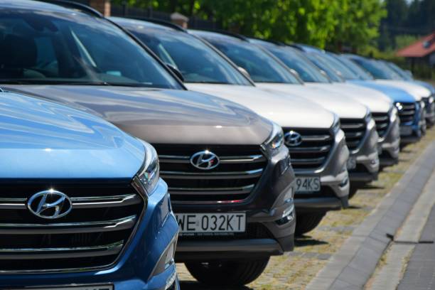 5 Conseils pour Bien Louer une Voiture